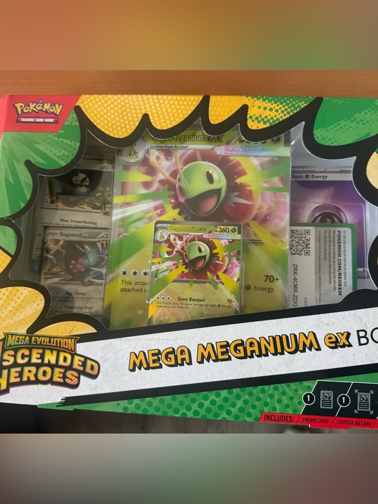 Pokemon Other - Pokemon Mega Meganium ex Box - $25